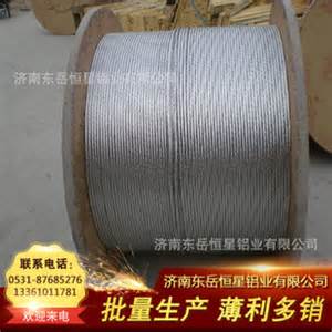 中國電工標準-SDJ206-87架空配電線路設計技術(shù)規(guī)鋼芯鋁絞線型號 程