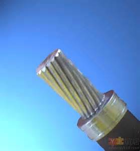 鋼芯鋁絞線型號新型輸電線路智能檢測技術研發(fā)成功