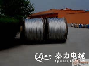 “世界鋁都”在中國“中國鋁都”在濱州 !輕型鋼芯鋁絞線 解密濱州之鋁
