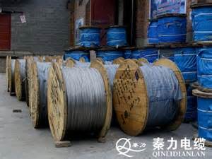 鋼芯鋁絞線廠家!國家電網公司正作力推廣新型節能導線研究應用